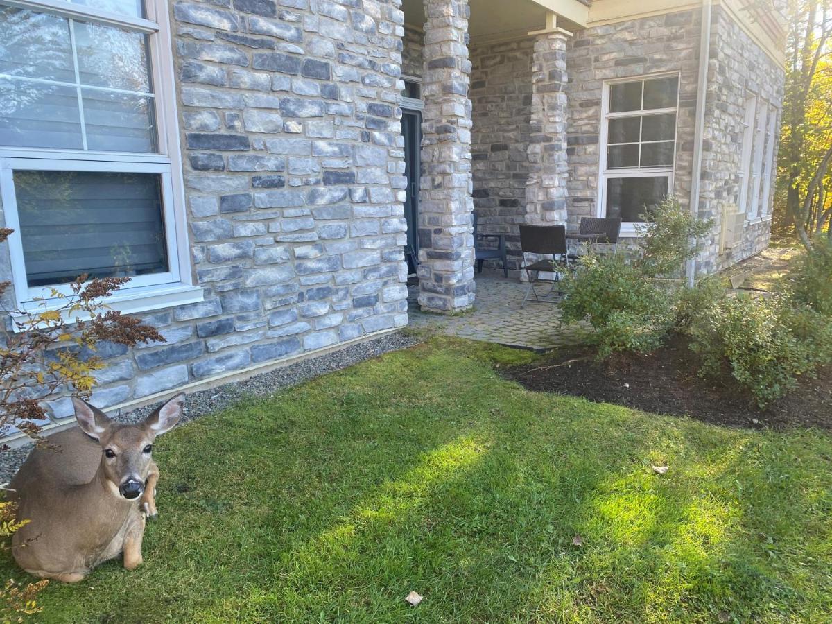 Rental Condo Tremblant-Les-Eaux モントランブラン エクステリア 写真